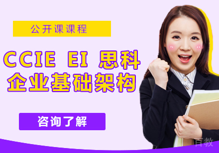 CCIE EI 思科企业基础架构