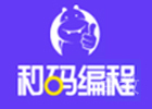济南和码编程