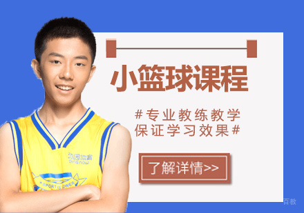 广州小篮球课程培训