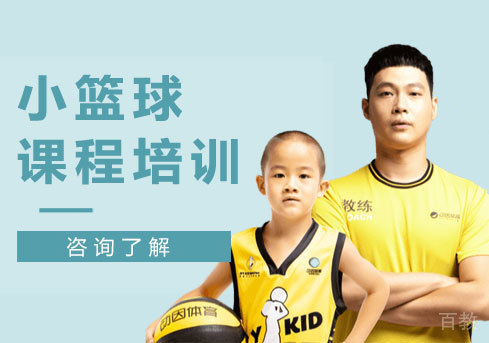 深圳小篮球课程培训