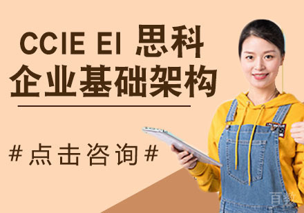 CCIE EI 思科企业基础架构