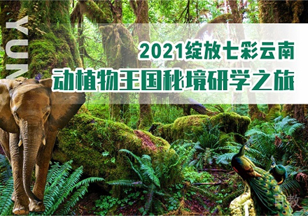 绽放七彩云南||动植物王国秘境研学之旅