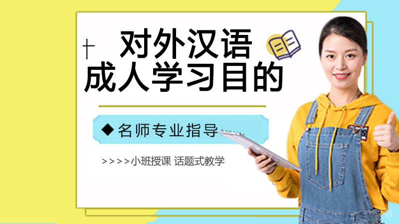 《对外汉语学习中成人学生的学习目的》 