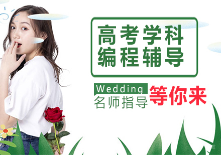 高考学科编程辅导