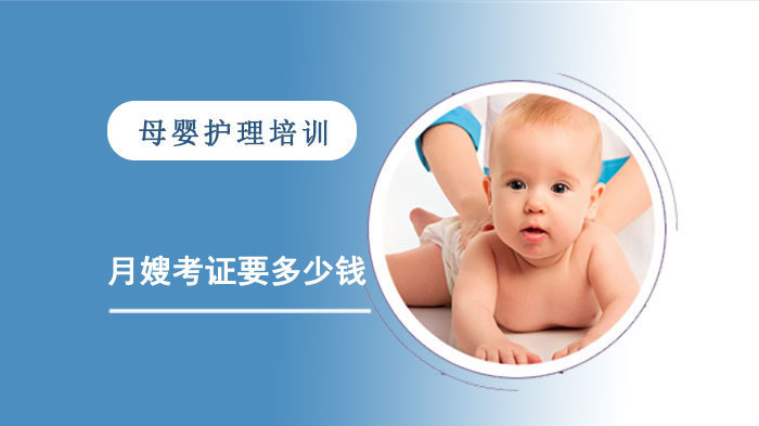 月嫂考证要多少钱 