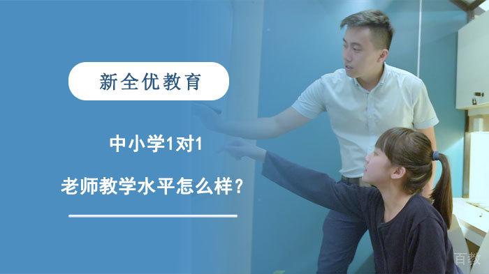 新全优中小学1对1老师教学水平深度解析 