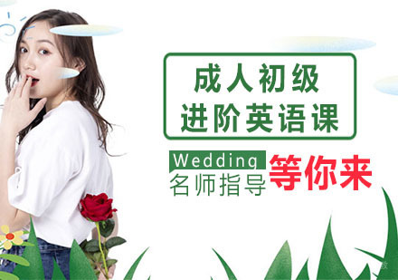 成人初级及进阶英语课