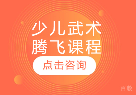 少儿武术腾飞课程