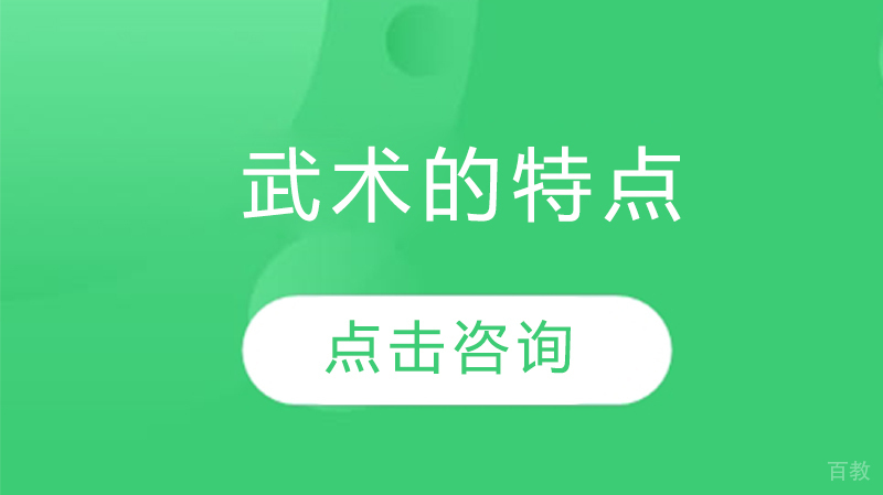 武术的特点 