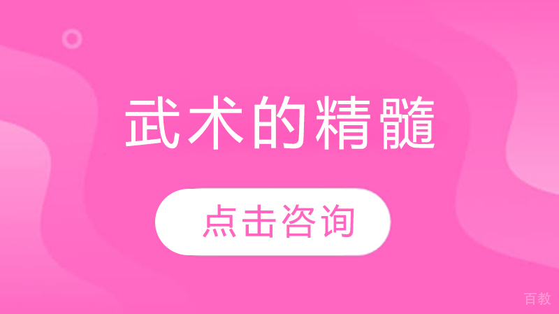 武术的精髓 