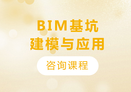 深圳BIM基坑建模与应用课程培训