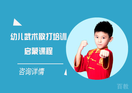 幼儿武术散打培训启蒙课程
