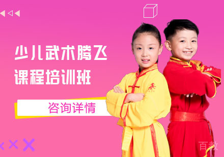 少儿武术腾飞培训班