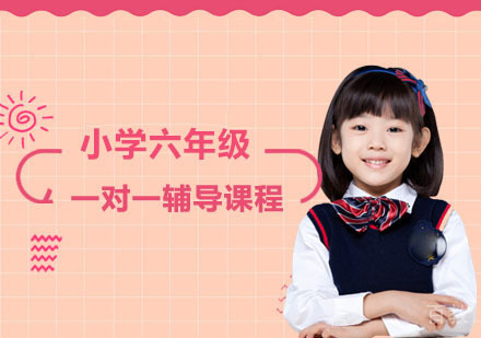 小学六年级全科一对一升学冲刺深度辅导解析