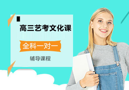 艺考生文化课突破计划：高三全科一对一冲刺指南