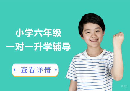 小学六年级一对一升学辅导课程