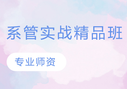 系管实战精品班