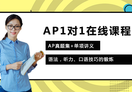 广州AP1对1在线课程培训