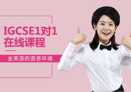 广州IGCSE1对1在线课程培训