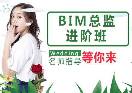 BIM总监进阶班