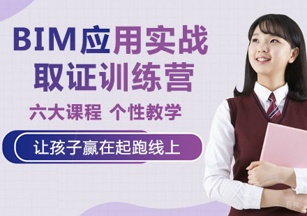 BIM应用实战&训练营（水利水电）