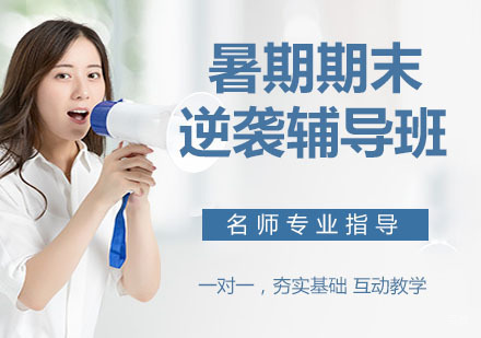 暑期期末逆袭辅导班