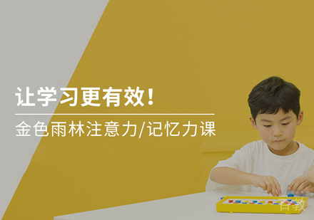 注意力记忆力训练