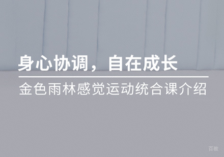 少儿感觉运动统合训练