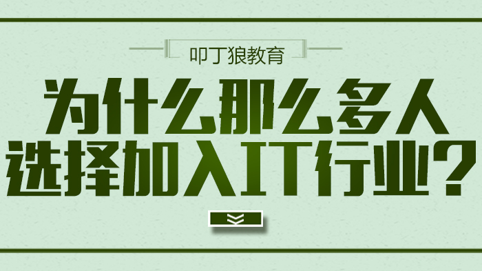 为什么那么多人选择加入IT行业？
