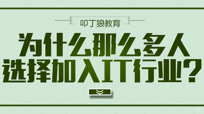 为什么那么多人选择加入IT行业？ 