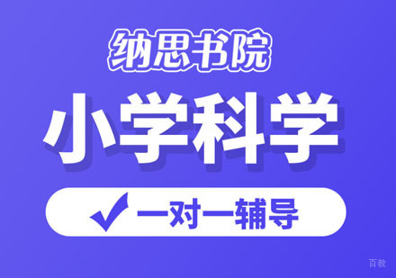 小学科学同步小班课