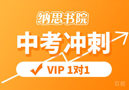 中考1v1在线精准辅导