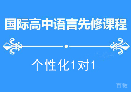 国际高中语言个性化一对一