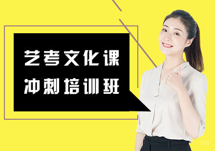 艺考文化课冲刺培训班