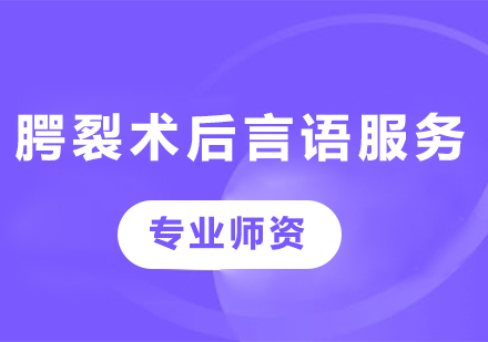 广州腭裂术后言语服务课程培训