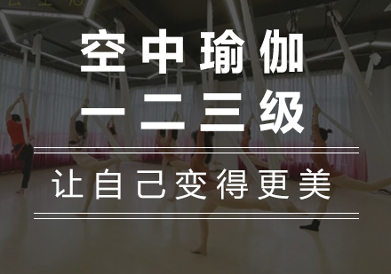 广州空中瑜伽一二三级课程培训