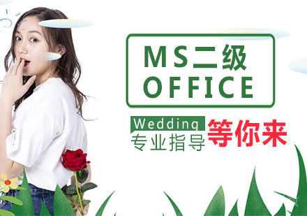 MS二级OFFICE