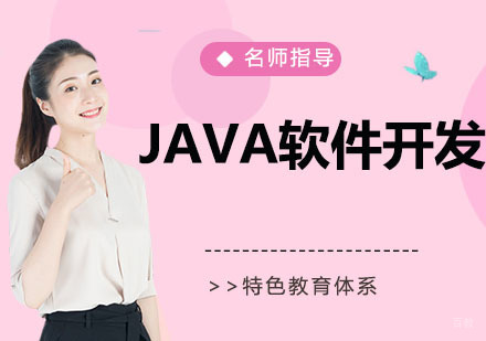 JAVA软件开发