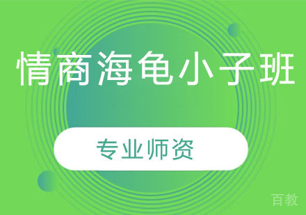 情商海龟小子