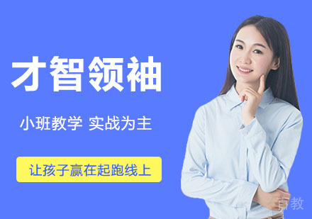才智领袖特