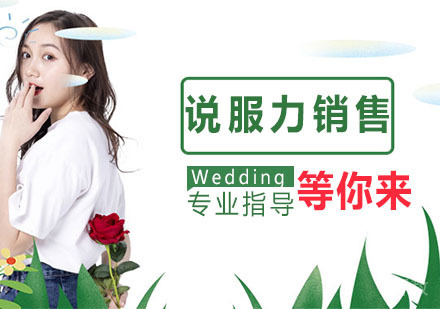 说服力销售
