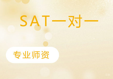 SAT一对一