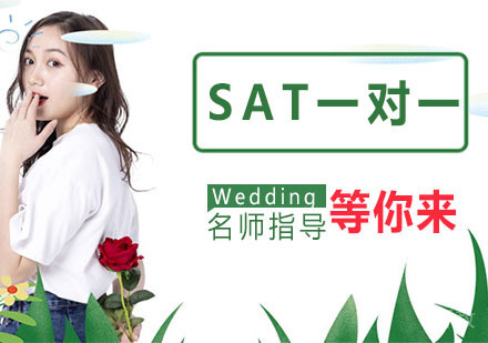 SAT一对一课程
