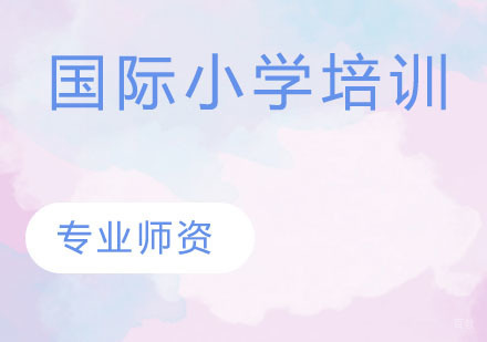 国际小学培训