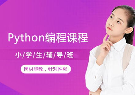 Python编程课程