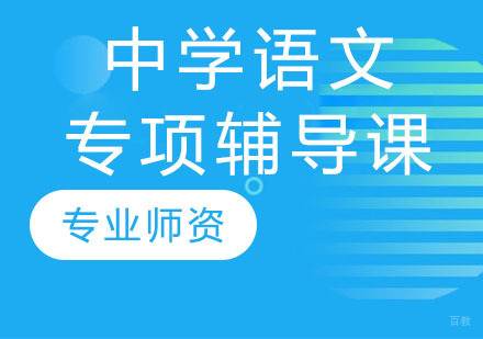 中学语文专项辅导课