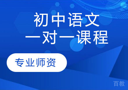 初中语文一对一课程