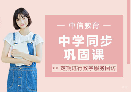 中学同步巩固课