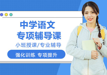 中学语文专项辅导课