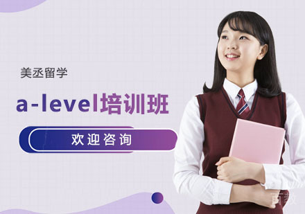 a-level培训班